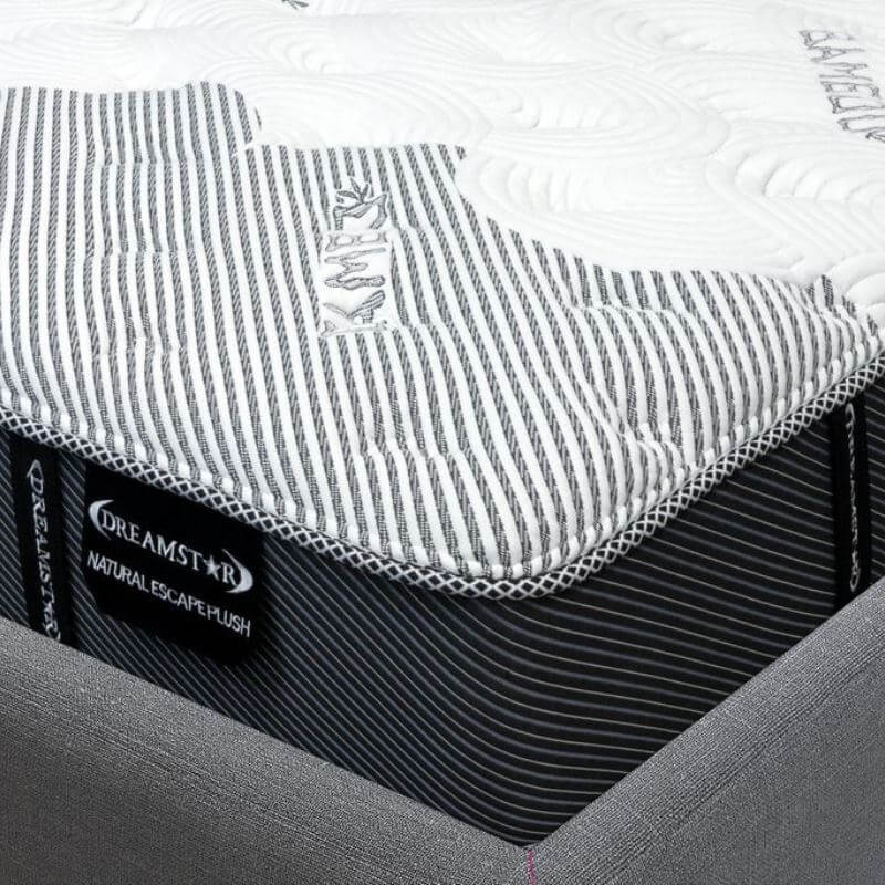 Dreamstar Natural Escape Firm Mattress ☑️ Sleep Masters