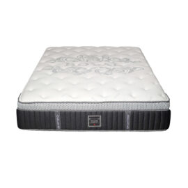 Dreamstar Modern Comfort Plush Mattress