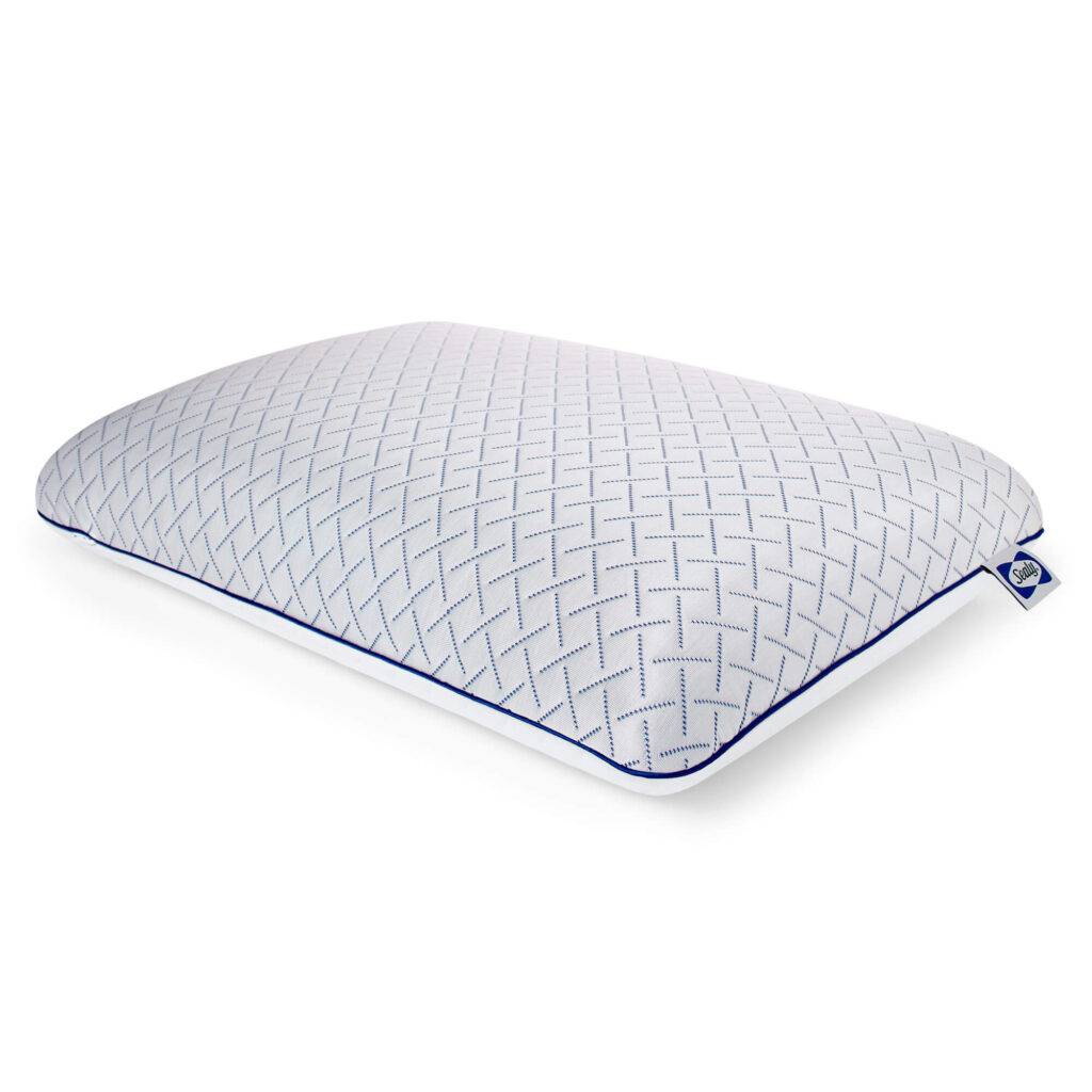 Sealy Cool Touch Memory Foam Pillow – Cooling Cover