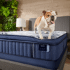 Stearns & Foster Estate Mon Chéri 15" Luxury Cushion Firm Pillowtop Mattress with a dog standing on it
