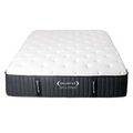 Dreamstar Ariya Hybrid 13&Prime;