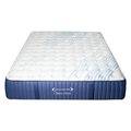 Dreamstar Chiro Firm Tight-Top 13&Prime;