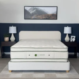 Dreamstar Double Life Latex Plush Flippable Mattress 15″