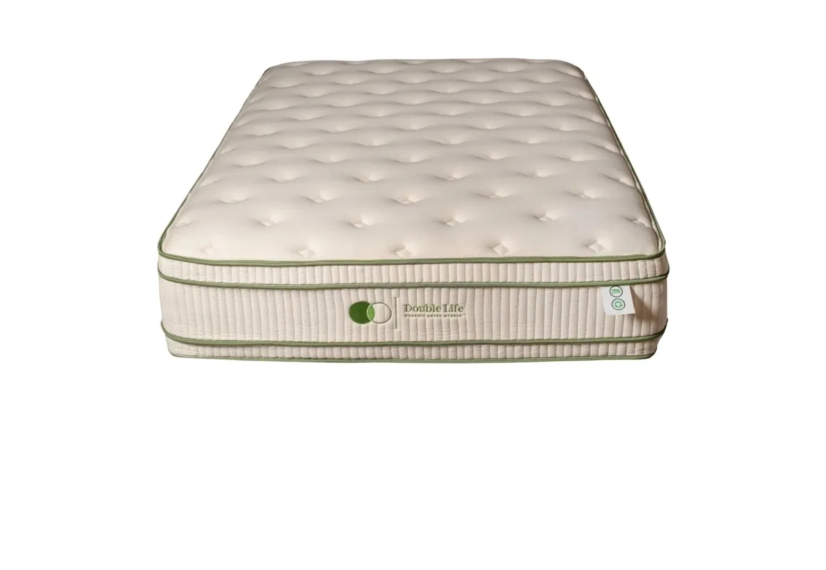 Dreamstar Double Life Latex Plush 15&Prime; in a bedroom