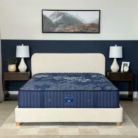 Dreamstar Orthopedic Supreme Mattress 13″
