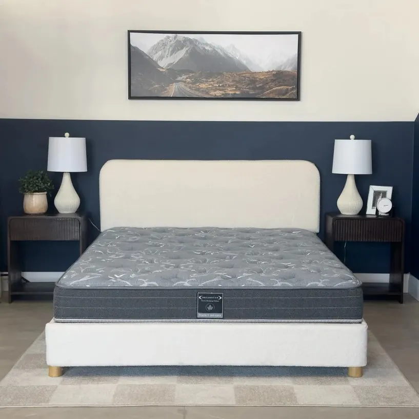 Dreamstar Perfect Dreamer 6.5″ in a bedroom