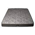 Dreamstar Perfect Dreamer 6.5&Prime;