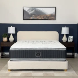 Dreamstar Serenity II Flippable Mattress 14″